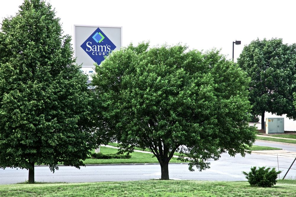 Baytowne Shoppes Corner Lot: 911 W. Marketview Dr., Champaign, IL 61822